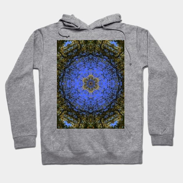 Blue Sky and Fall Foliage Textile Pattern Hoodie by Zen Goat 